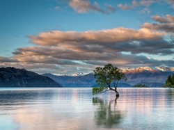 Chmury, Góry, Jezioro Wanaka, Nowa Zelandia, Drzewo